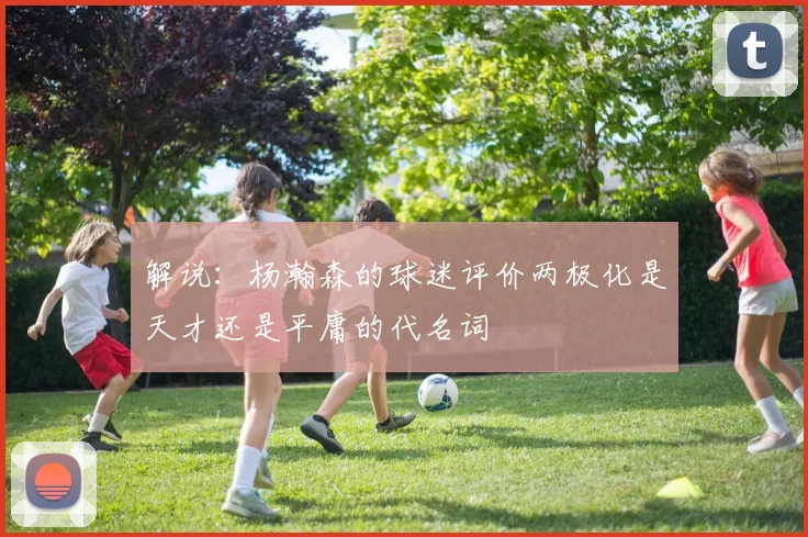 解说：杨瀚森的球迷评价两极化是天才还是平庸的代名词