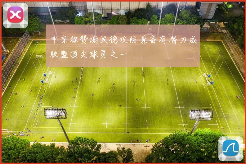 申京称赞谢泼德攻防兼备有潜力成联盟顶尖球员之一
