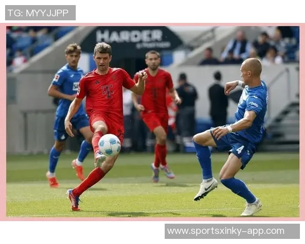 拜仁与多特争相关注霍芬海姆新星阿斯拉尼专注当下自然发展